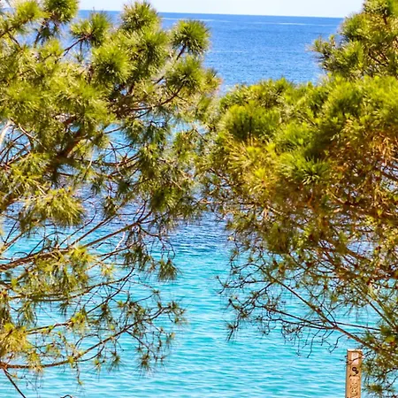 Bed & Breakfast Hercules Sea View *